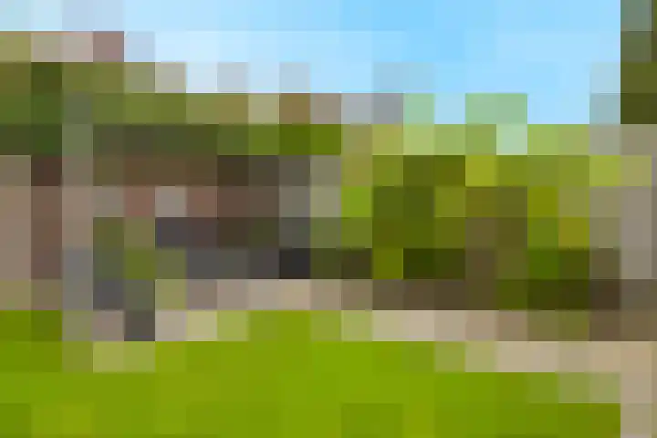 Gariperwei 9 Oudega thumbnail 18