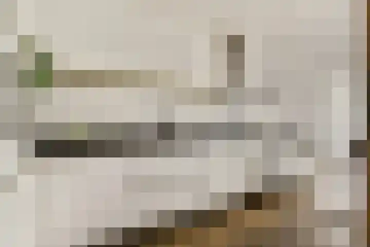 Gariperwei 9 Oudega thumbnail 20