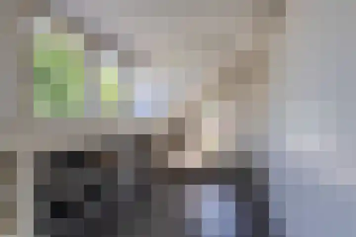 Gariperwei 9 Oudega thumbnail 25
