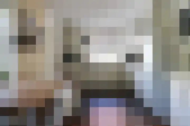 Gariperwei 9 Oudega thumbnail 30