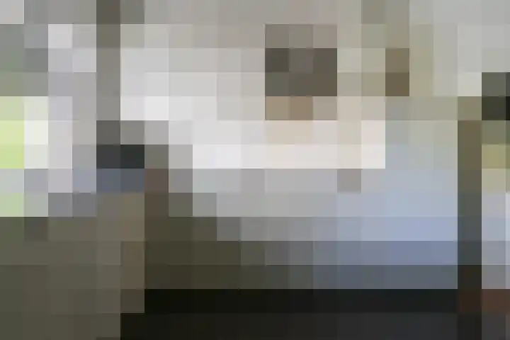 Gariperwei 9 Oudega thumbnail 32