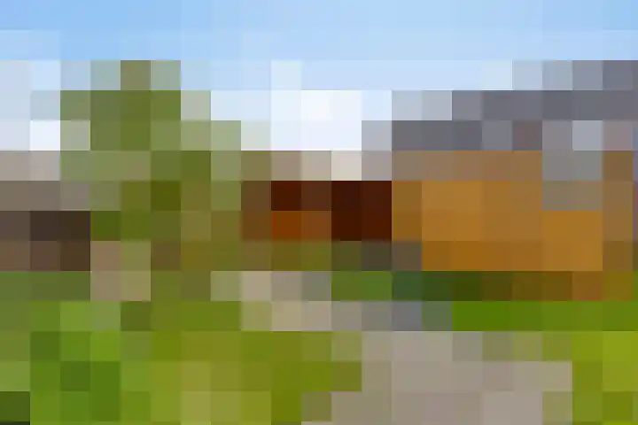 Gariperwei 9 Oudega thumbnail 42