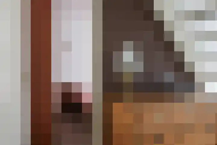Gariperwei 9 Oudega thumbnail 42