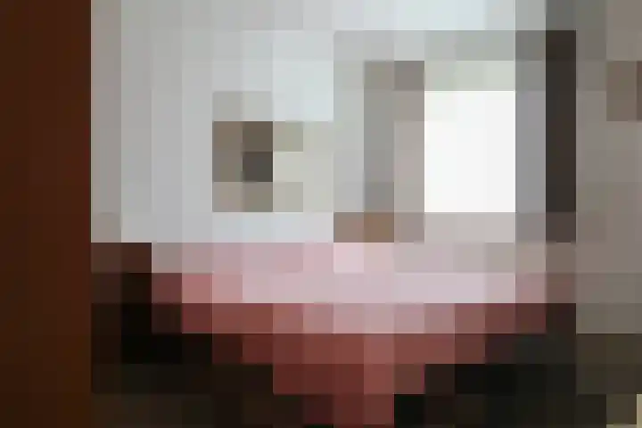 Gariperwei 9 Oudega thumbnail 43