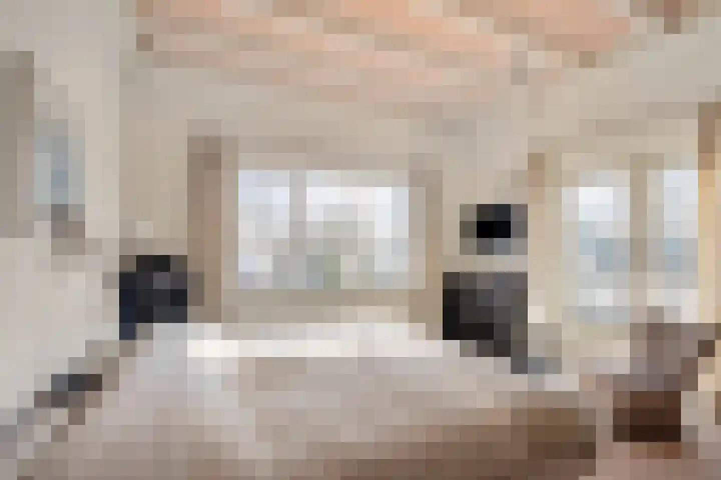 Gariperwei 9 Oudega thumbnail 48