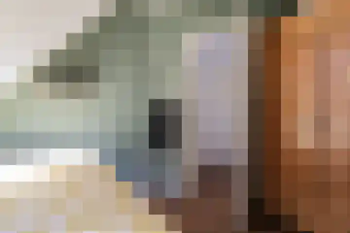 Gariperwei 9 Oudega thumbnail 51