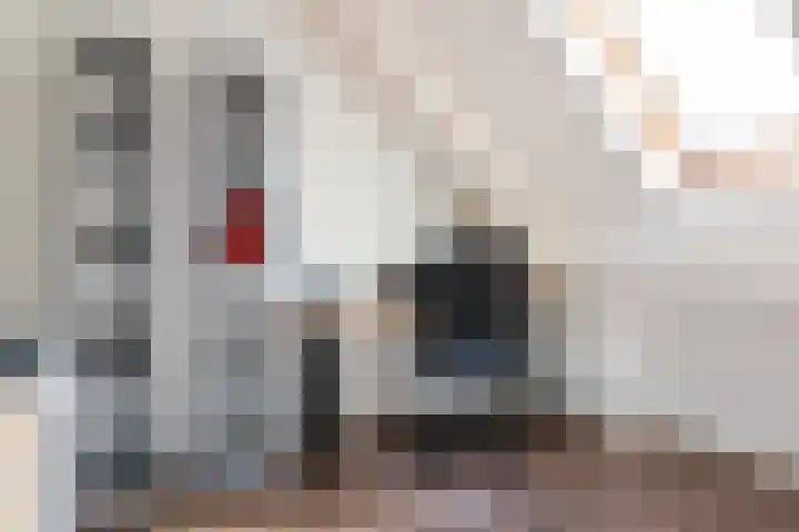 Gariperwei 9 Oudega thumbnail 55