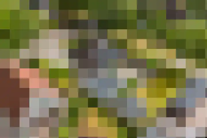 Gariperwei 9 Oudega thumbnail 61