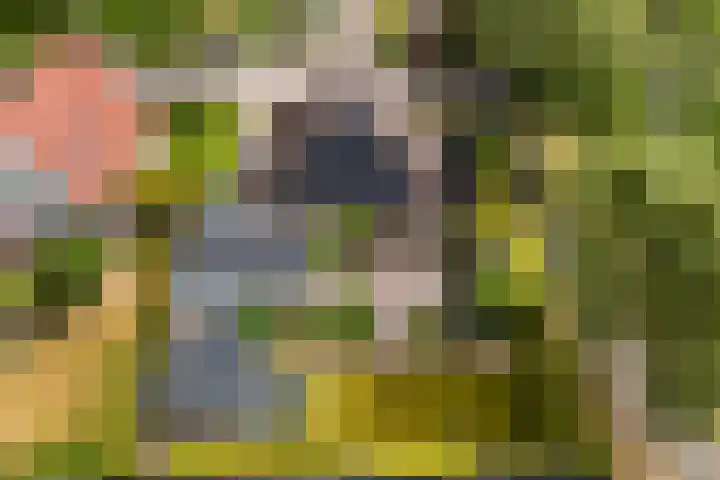 Gariperwei 9 Oudega thumbnail 62