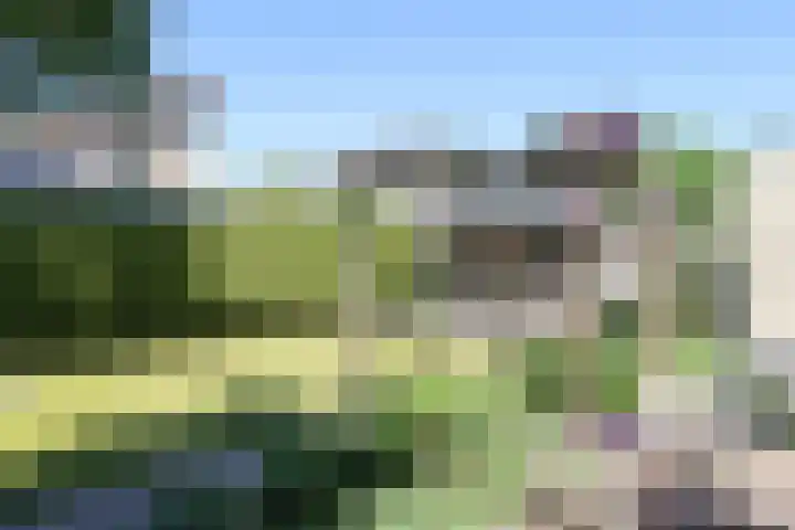 Gariperwei 9 Oudega thumbnail 65