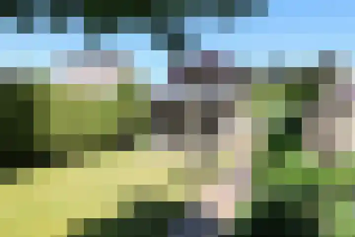 Gariperwei 9 Oudega thumbnail 70