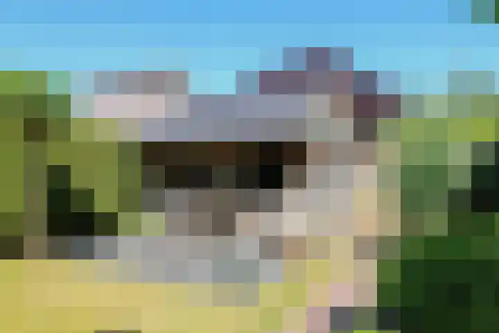 Gariperwei 9 Oudega thumbnail 71