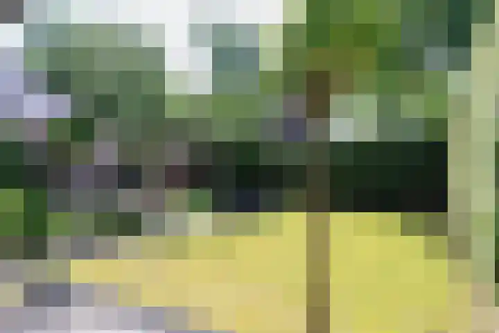 Gariperwei 9 Oudega thumbnail 75