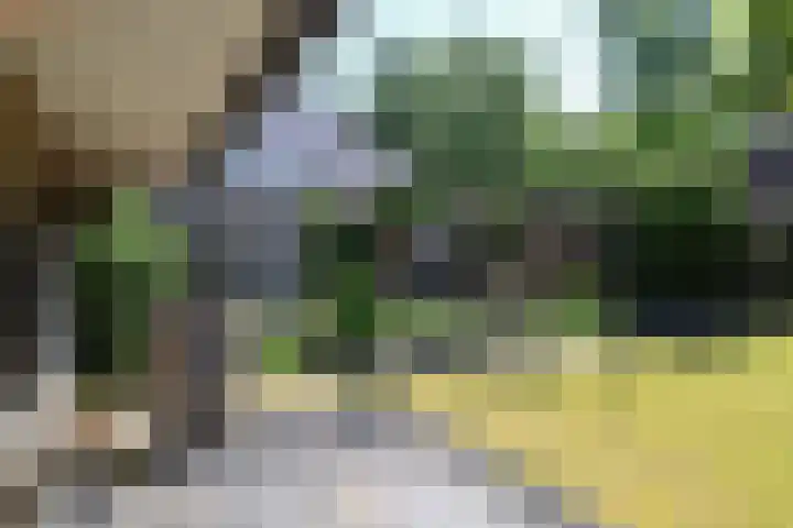 Gariperwei 9 Oudega thumbnail 76