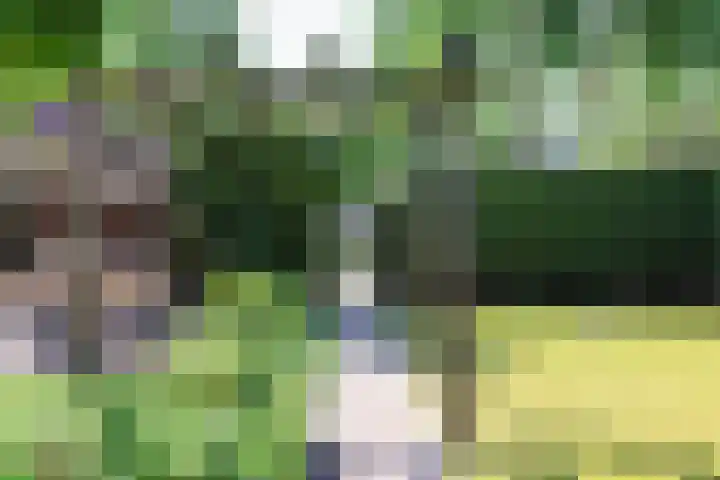 Gariperwei 9 Oudega thumbnail 77