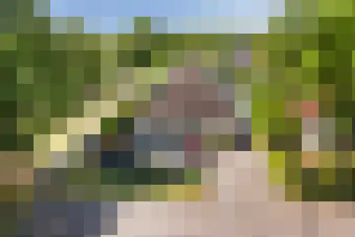 Gariperwei 9 Oudega thumbnail 78