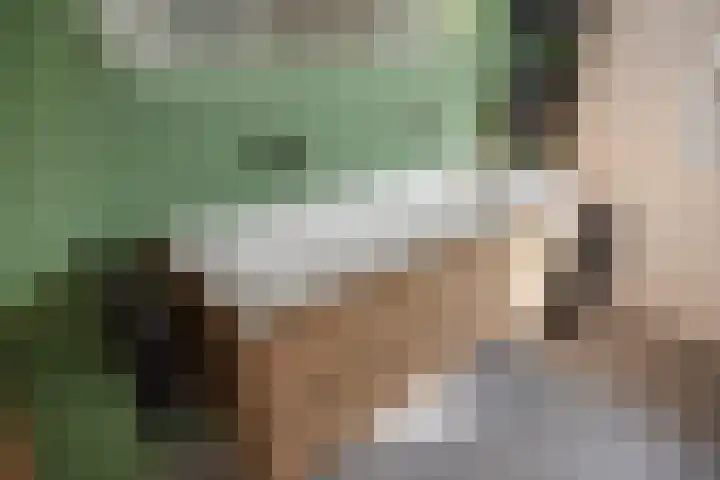 Gariperwei 9 Oudega thumbnail 8