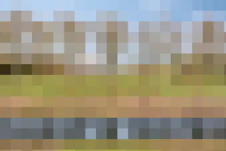 Gariperwei 9 Oudega thumbnail 80