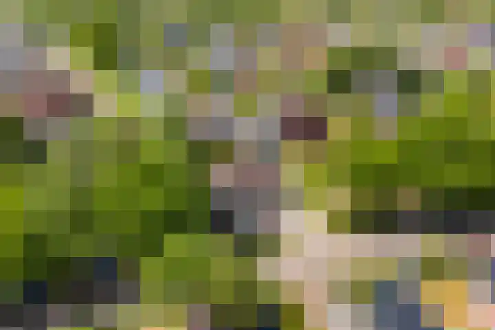 Gariperwei 9 Oudega thumbnail 82