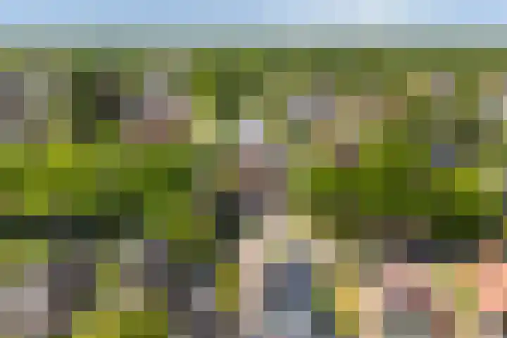 Gariperwei 9 Oudega thumbnail 83