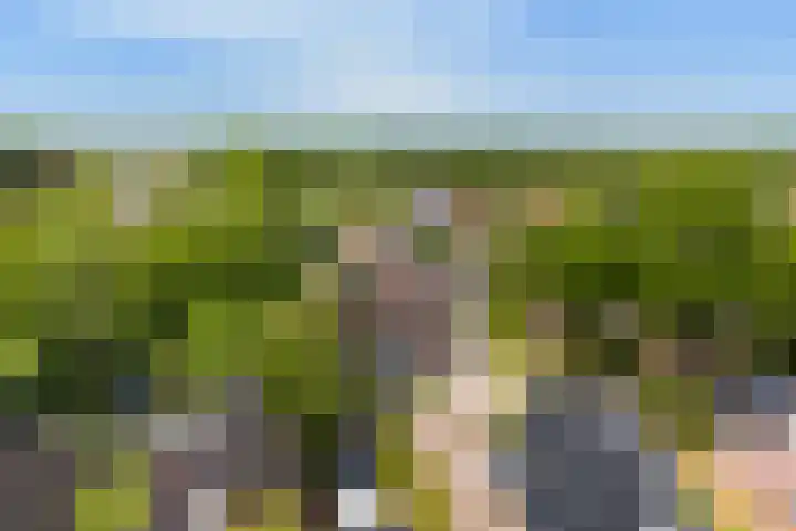 Gariperwei 9 Oudega thumbnail 84