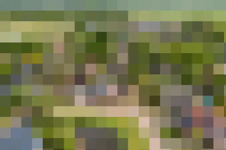 Gariperwei 9 Oudega thumbnail 85