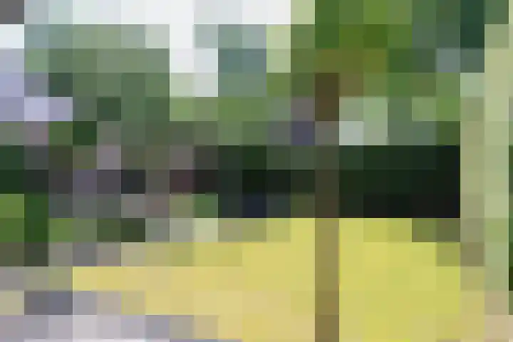Gariperwei 9 Oudega thumbnail 9