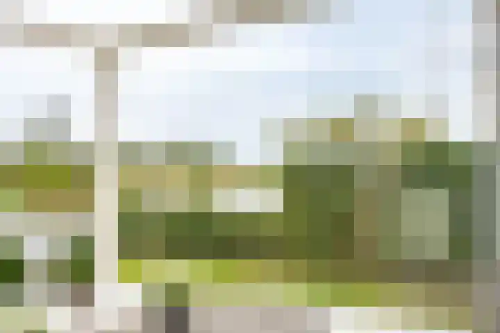 Garmpoleiland 34 Eelderwolde thumbnail 27
