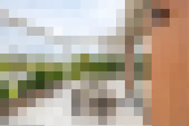 Garmpoleiland 34 Eelderwolde thumbnail 52