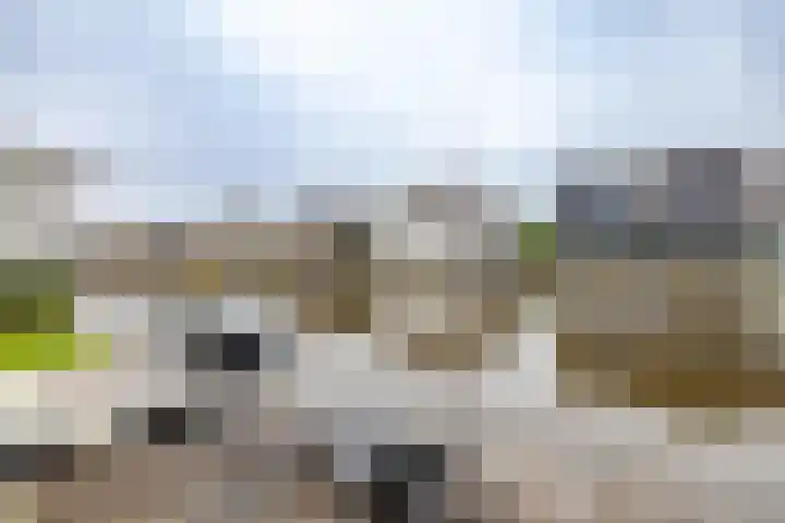 Garmpoleiland 34 Eelderwolde thumbnail 57