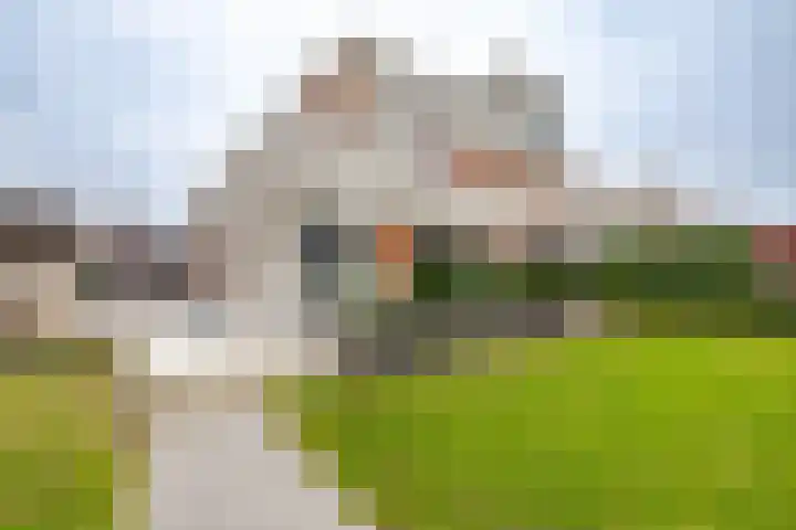 Garmpoleiland 34 Eelderwolde thumbnail 62