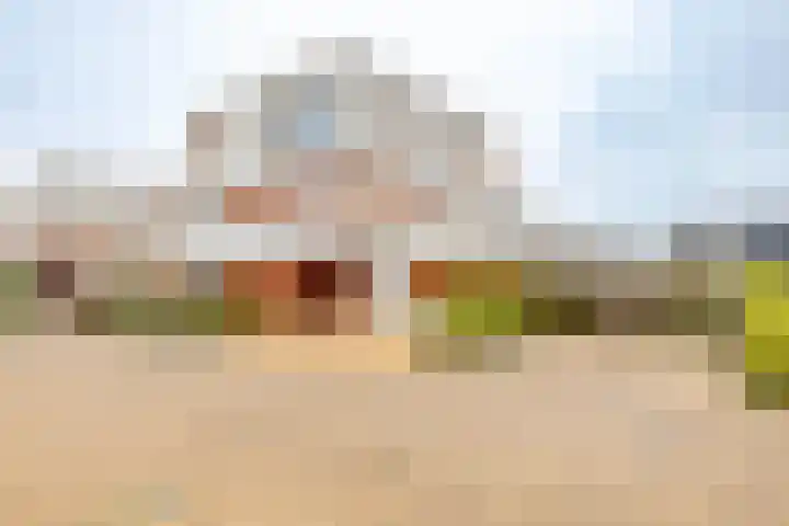 Garmpoleiland 34 Eelderwolde thumbnail 63