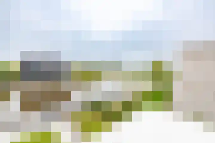 Garmpoleiland 34 Eelderwolde thumbnail 64