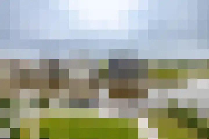 Garmpoleiland 34 Eelderwolde thumbnail 65