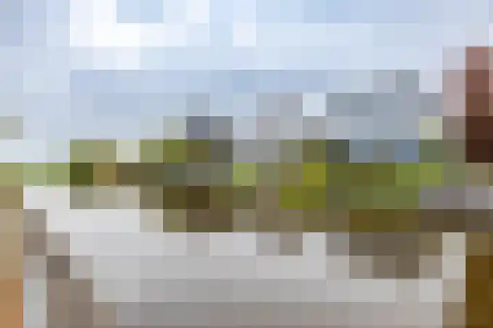 Garmpoleiland 34 Eelderwolde thumbnail 67