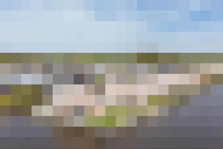 Garmpoleiland 34 Eelderwolde thumbnail 68