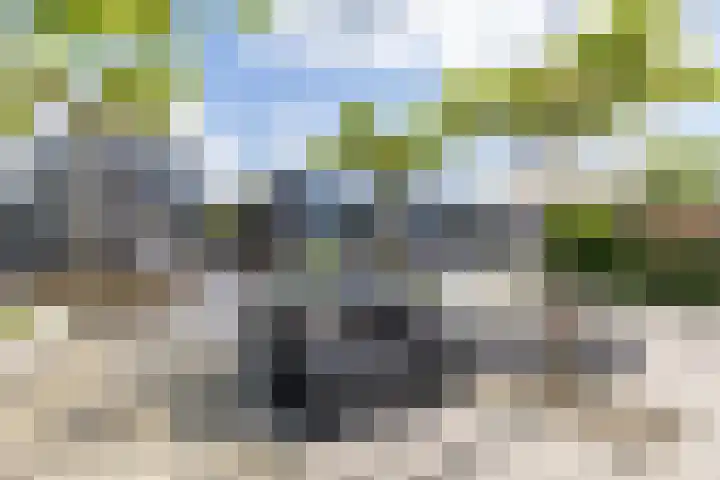 Garmpoleiland 8 Eelderwolde thumbnail 33