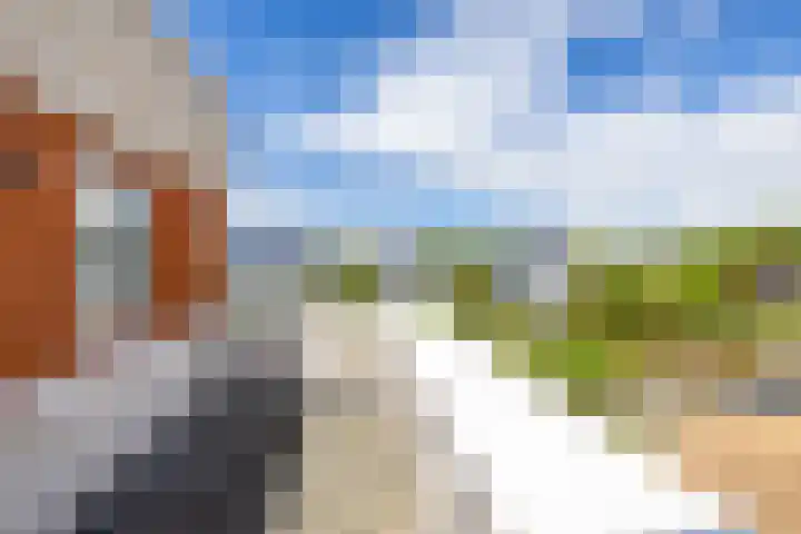 Garmpoleiland 8 Eelderwolde thumbnail 66