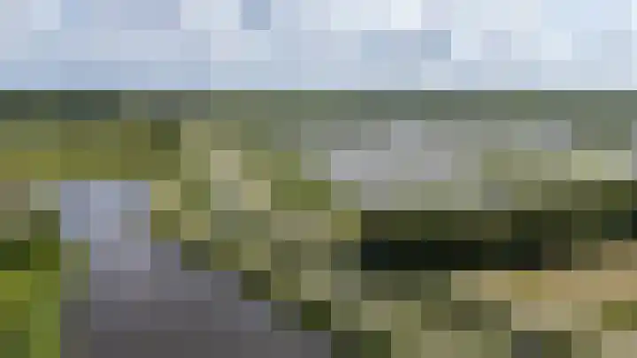Garmpoleiland 8 Eelderwolde thumbnail 77