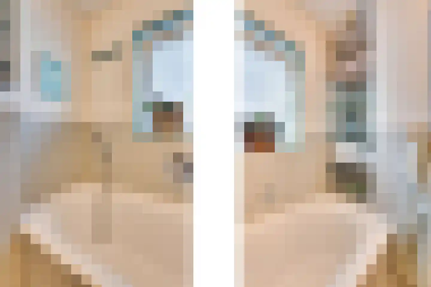 Garnaetwei 10 Goes thumbnail 38