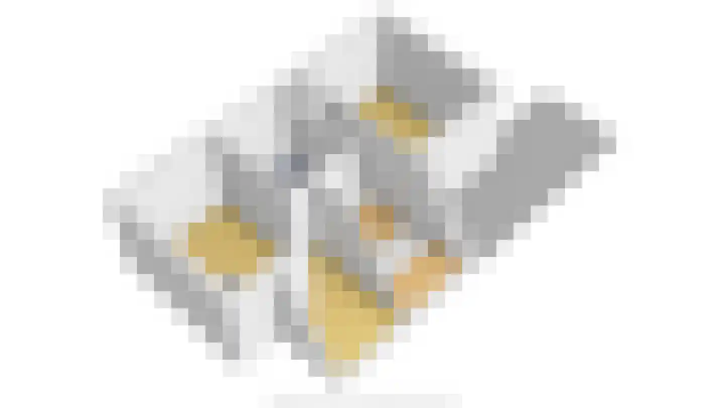 Garnaetwei 10 Goes thumbnail 71