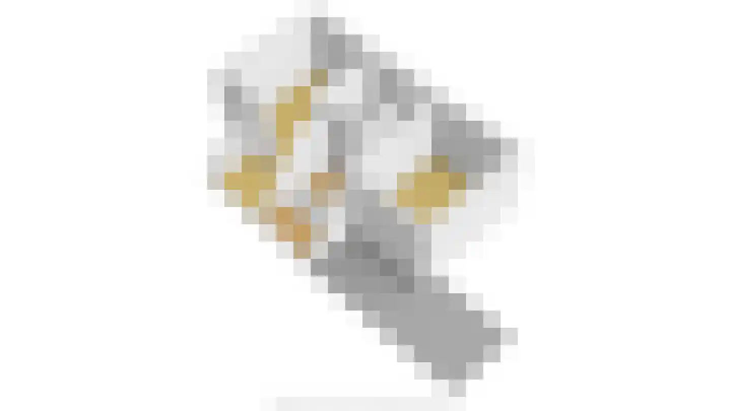 Garnaetwei 10 Goes thumbnail 74