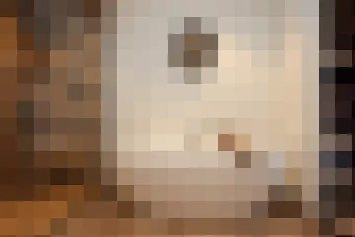 Garnizoen 12 Ede thumbnail 29