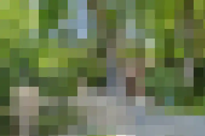 Garnizoen 8 Ede thumbnail 40