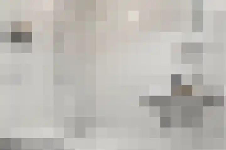 Garnizoen 8 Ede thumbnail 42