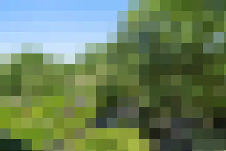 Garnizoen 8 Ede thumbnail 48