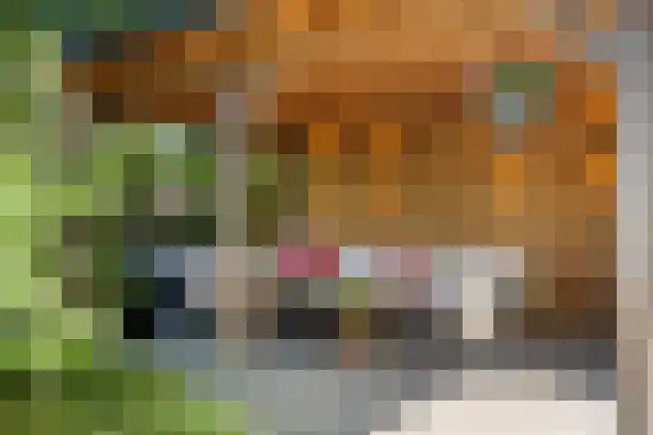 Garnizoen 8 Ede thumbnail 56