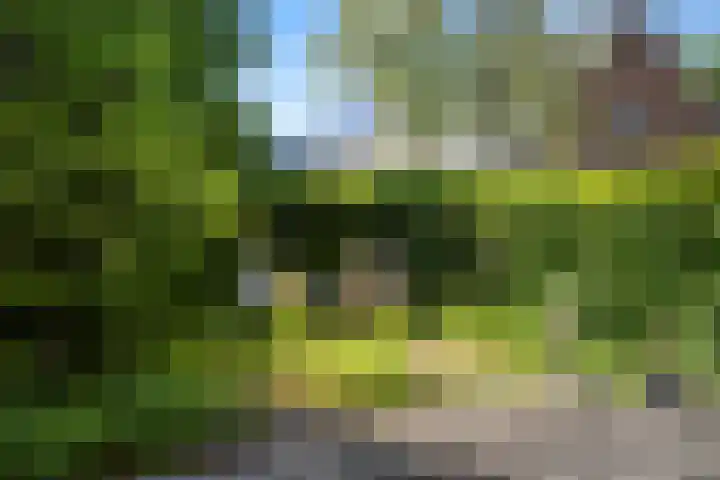 Garnizoen 8 Ede thumbnail 59