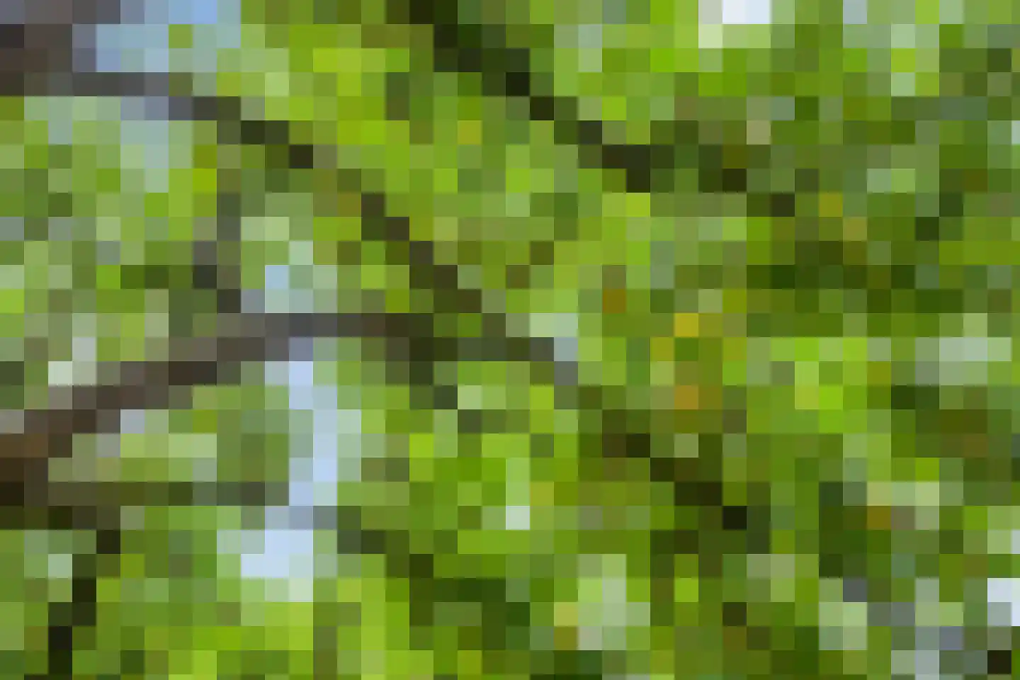 Garsenshof 17 Warnsveld thumbnail 32