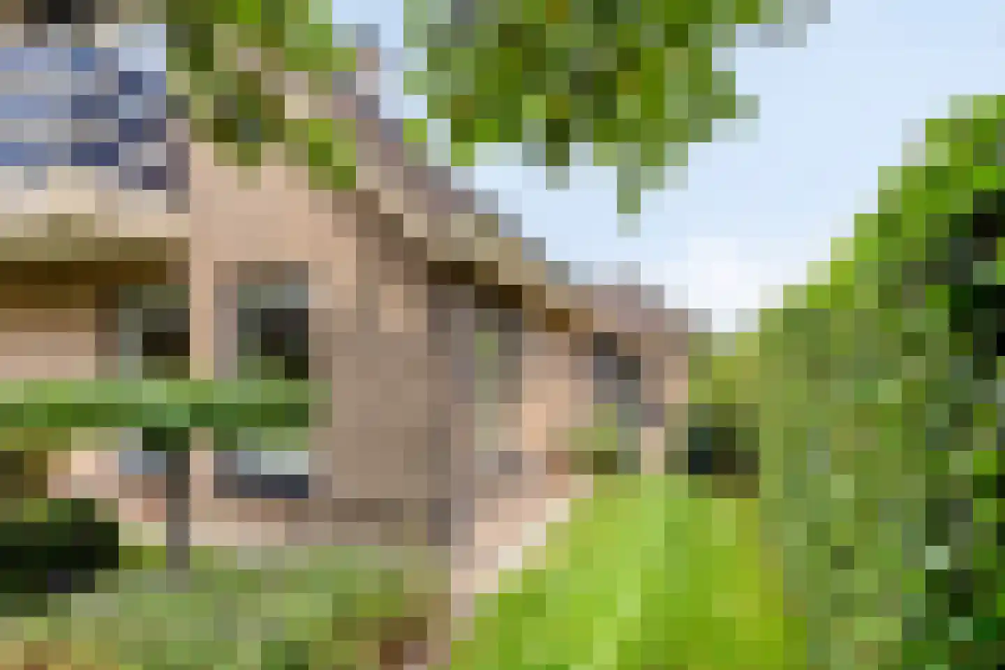 Garsenshof 17 Warnsveld thumbnail 34